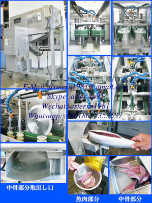 China Middle Type Fish Gutting Machine supplier