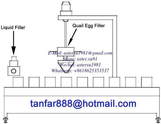 China Automatic Quail Egg and Liquid Filling Machine supplier