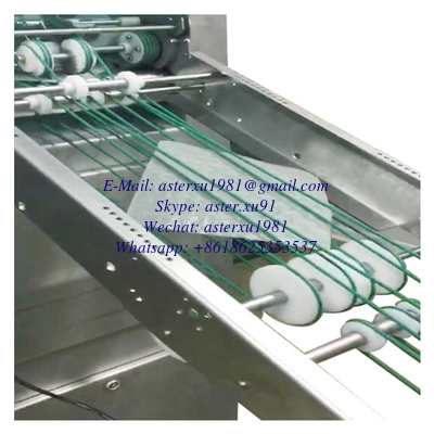 China Stainless Steel Rice Paper Spring Roll Forming Machine Spring Roll Folding Machine supplier