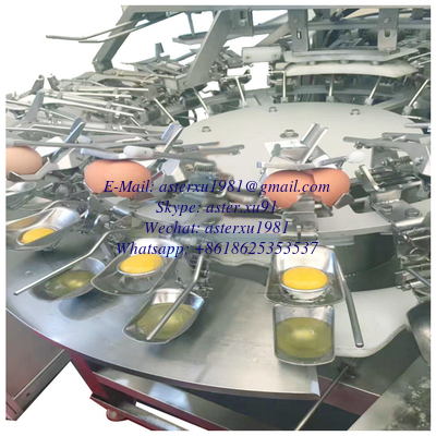 China Egg Yolk and Albumen Seperating Machine supplier