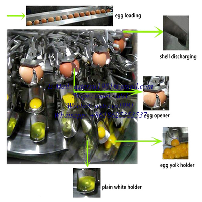 China Egg Yolk and Egg White Separator Automatic Egg Breaker supplier