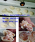 Electronic Style Automatic Dumpling Machine supplier