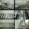 Japan Style Automatic Egg Fryer supplier