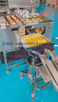 #Egg white and yolk separator #Egg Knocking Machine #Egg Knocker #Egg Breaking Machine #Egg Breaker  #Egg Processing Line #Egg Liquid Separator #Egg Yolk & Albumen Separator supplier